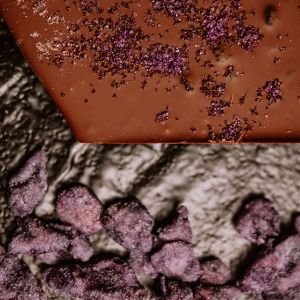 Milk chocolate with cranberries & violets 1
